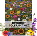 Drought Tolerant Mix – 4,000 Seeds for Planting – 2026 Season – 5 Gram Pouch