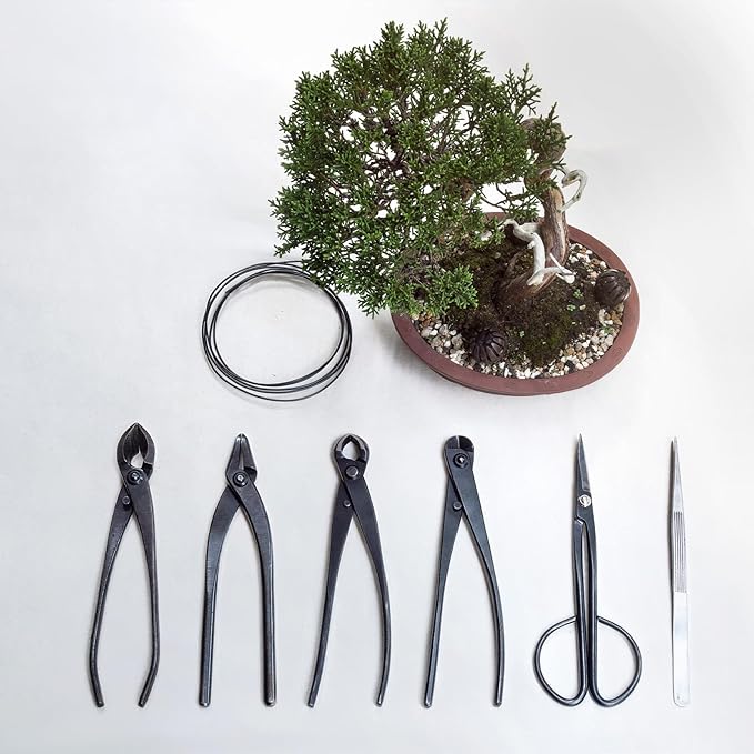 M METERXITY Bonsai Tool - 11 Inch Stainless Steel Knob Cutter, Bonsai Tree Plants Modeling Tools, Applying to Gardening Pruning Knobs/Tumors (280mm, Silver)