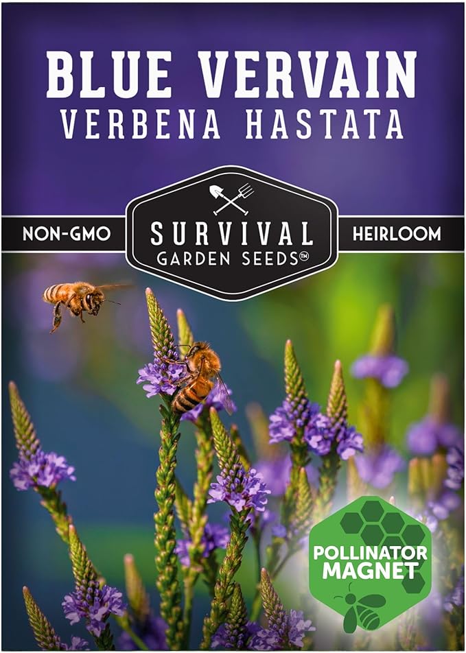 Survival Garden Seeds Blue Vervain Seeds for Planting (Verbena Hastata) | North American Native Wetland Wildflower | Butterfly Magnet - 1 Pack