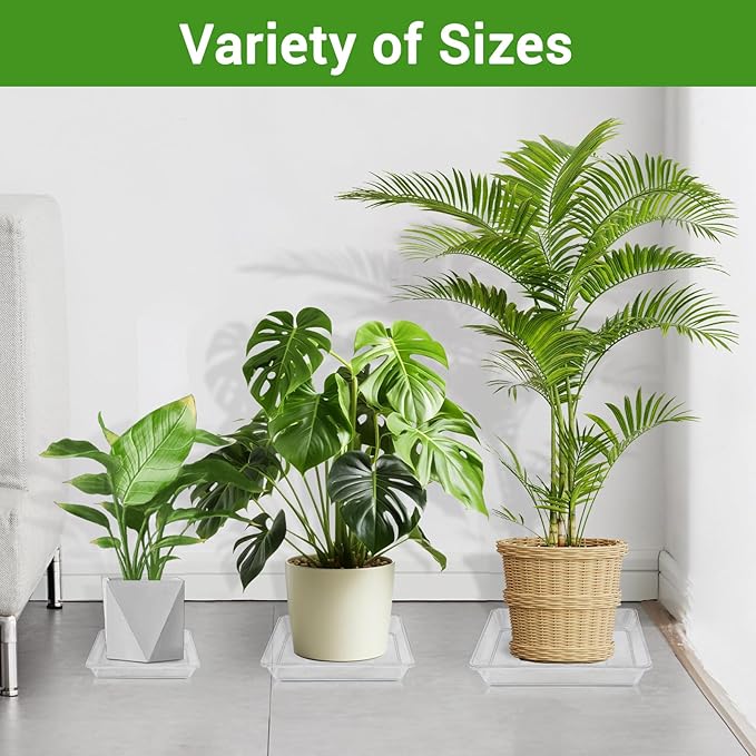 GREANER Clear Plant Plates to Catch Water, 12 Inch Durable Thick Saucer for Flower Pot, Square Plant Saucer Plant Trays for Pots, Flower Pot Saucers to Catch Water Drip Tray(6 Packs)