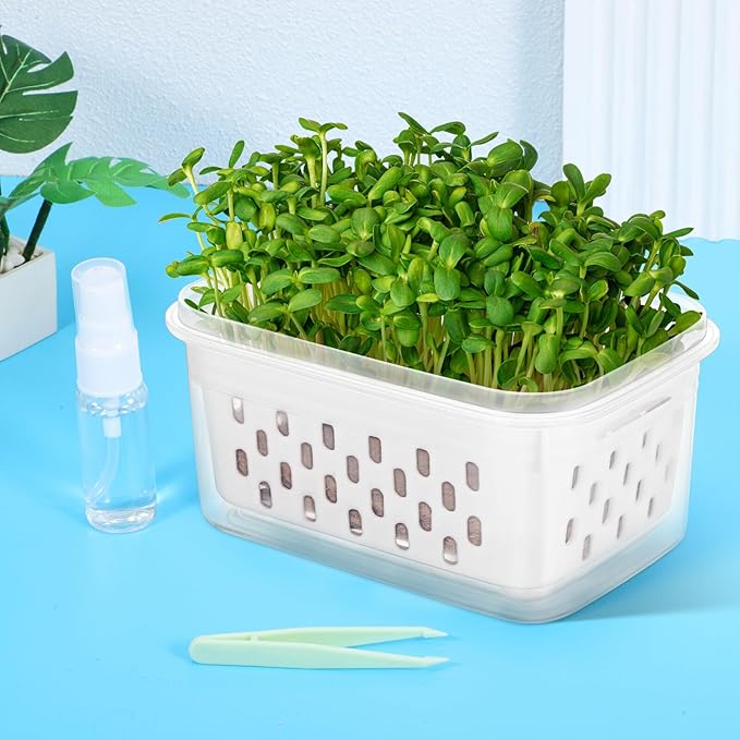 Germination Trays Small Seedling Pots for Plant Nursery with Drainage Holes, Soilless Sprouting Planters 2pcs, Greenhouse Accessories for Indoor Seed Starters
