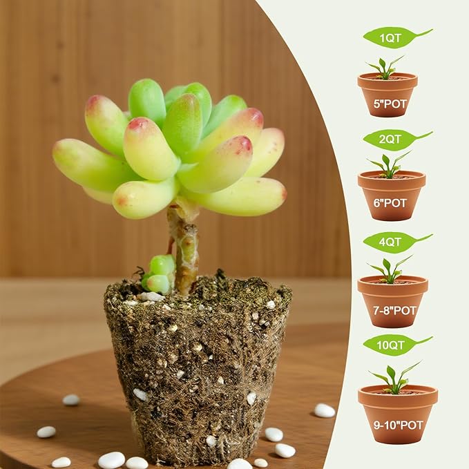 Succulent and Cactus Soil Potting Mix 4qt-Premium Breathable & Fast Draining for Healthy Plants
