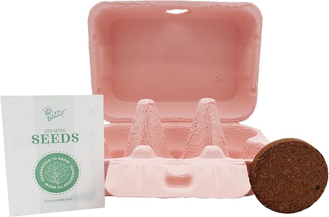 Buzzy Seeds Flower Starter Kit | 2-Pack Eco-Friendly Colorful Egg Cartons | Sunflower & Daisy Seeds | Indoor Flower Grow Kit | Gardening Gift | Ideal for Easter or Mother's Day Gifting