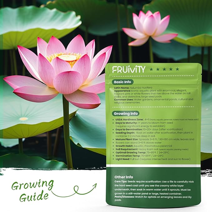 60 PCS Lotus Seeds for Planting in Water - Mixed Color Bowl Lotus Seeds, Aquatic Plant Water Lily Seeds for Indoor Bonsai, Outdoor Ponds & Garden, Unique Gift for Mother, Women, Mom, Friend, Her