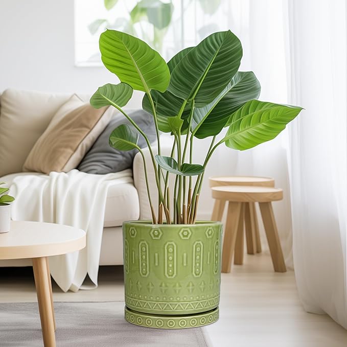 Eightpot Ceramic Pot for Plants - 10 Inch Indoor Plant Pots with Drainage Holes and Saucer, Boho Round Planter Outdoor, Decorative Large Planter for Flower, Living Room Decor, Garden Gifts, Green