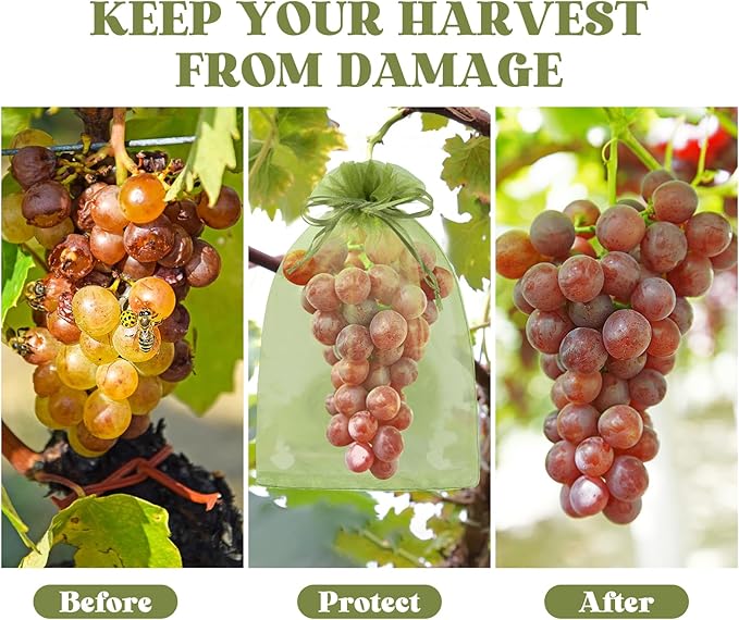 80 Pcs Fruit Protection Bags, 8 x12 Inch Fruit Tree Netting Mesh Bags Drawstring Reusable Green Bag for Fruits & Vegetables, Garden Netting Covers Pest Barrier for Grape Apple Pomelo