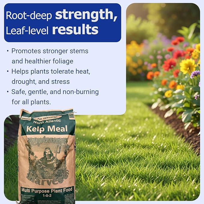 Neptune’s Harvest Organic Kelp Meal Plant Food (1-0-2) - 50 lb Resealable Bag - Multi-Purpose Seaweed Fertilizer - Indoor & Outdoor Plant Fertilizer for Lawns, Gardens, Vegetables & Bulbs