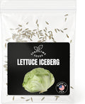 Iceberg Lettuce Seeds for Planting – 500+ Heirloom Non-GMO Crisp Head Lettuce, Cool Season Vegetable for Spring & Fall Gardens, High Germination (Lactuca Sativa)