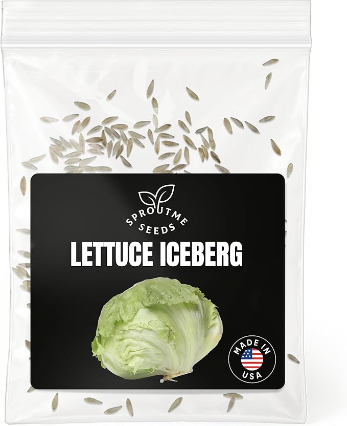 Iceberg Lettuce Seeds for Planting – 500+ Heirloom Non-GMO Crisp Head Lettuce, Cool Season Vegetable for Spring & Fall Gardens, High Germination (Lactuca Sativa)