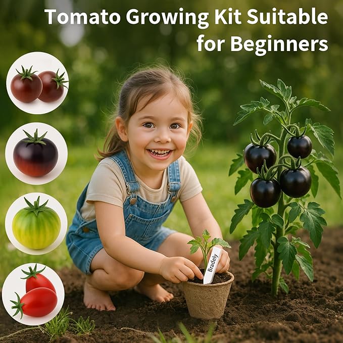 10 Pack Tomato Seeds for Planting - Heirloom Tomato Seeds for Indoor Outdoor Gardening - Natural Soil Disc, Pulp Cup, Plant Markers & Tools - Non GMO Vegetable Seed Set for Starter