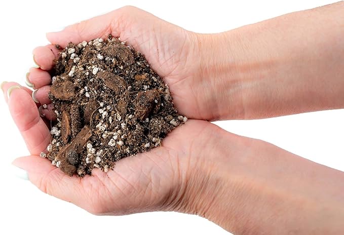 Gardenera Premium Aroid Potting Mix - 1 Quart - Soil Free Blend for Aroids - Growing Medium for House Plant