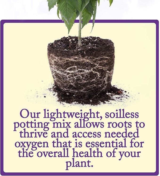 Esbenshade's Professional Lightweight Potting Mix, 14 Quart Bag - Soilless Blend for Indoor/Outdoor Plants - Raised Beds & Containers - Peat Moss, Perlite, Bark, Lime