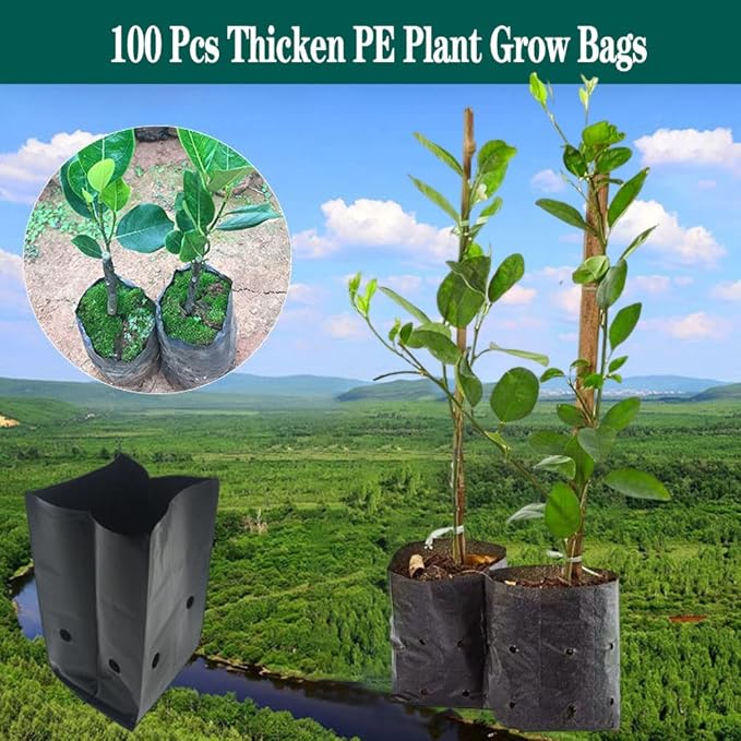 DredQcco 100PACK Plant Grow Bags,Thicken PE Seedling Bag Fruit Tree Seedling Cup Bonsai Planting Bag with Breathable Holes for Garden Black Planting Bags Nursery Bags (4.7'' Dia x 8'' H)