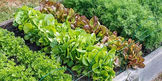 Organic Seedling Fertilizer 1 Gal, CDFA Organic Registered. Plant Care Fertilizer for Vegetable Gardens Like Tomato, Cucumber, Beans, Carrots and All Other Plants