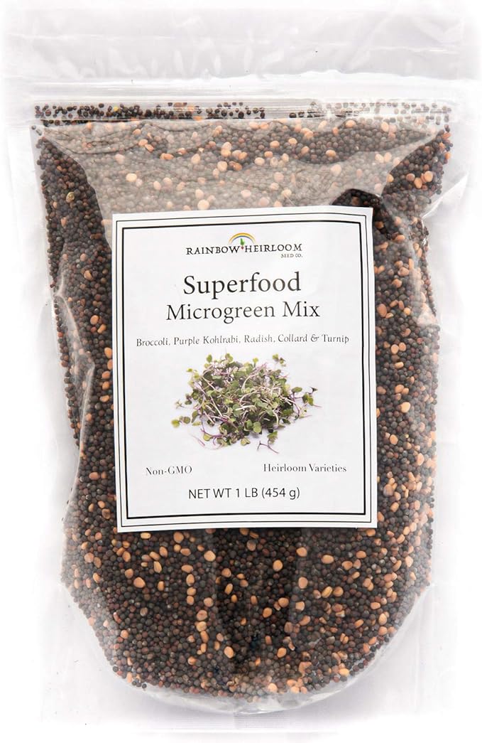 Superfood Microgreen Seeds Mix | for Microgreens Growing Trays | 1 LB | Heirloom Non GMO Purple Kohlrabi, Collard, Radish, Turnip & Broccoli Sprouts Seeds | Rainbow Heirloom Seed Co.