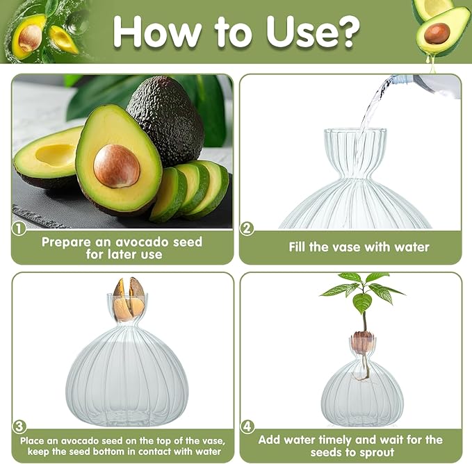 Large Avocado Vase Grow Glass Bulb Vases Striped Acorn Seed Starter Vase Avocados Pit Planter Pot for Gardening Lover Indoor Hydroponics