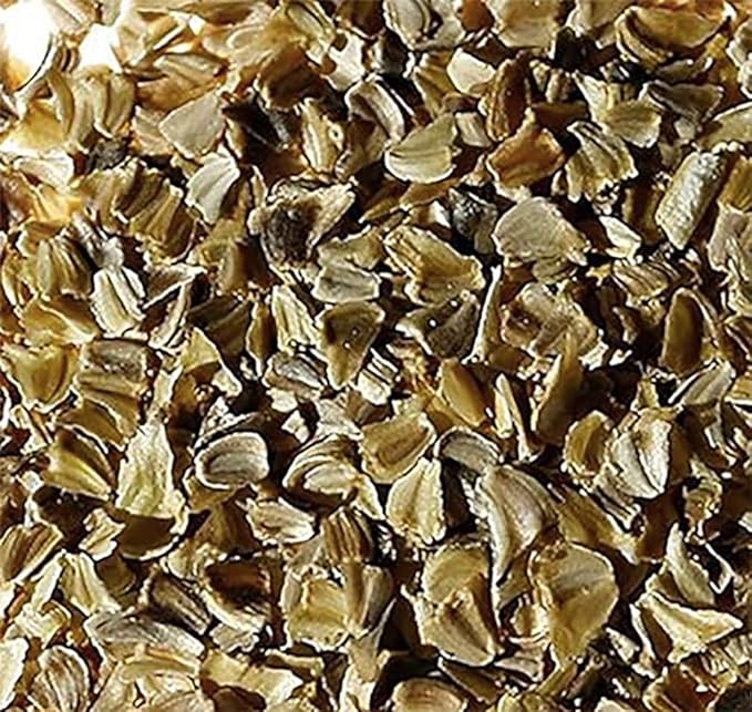 1000 Rainbow Painted Daisy Seeds - Former Wildflower Tamed as a Colorful Sunny Annual and Cut Flower