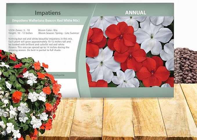 Outsidepride Beacon Red White Mix Impatiens Flower Seeds - 200 Pcs Annual, Compact & Pollinator Friendly, Impatiens Seeds for Planting w/Vibrant, Abundant Blooms for Shade Gardens & Containers