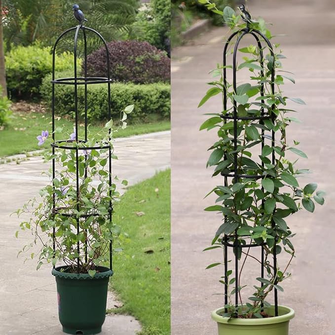 Garden Trellis,2 Pack Tomato Cage for Climbing Plants Outdoor, Plants Trellis Support for Climbing Vines, Plant Support for Vegetables, Plant Flower Trellises for Clematis Jasmine Outdoor Indoor
