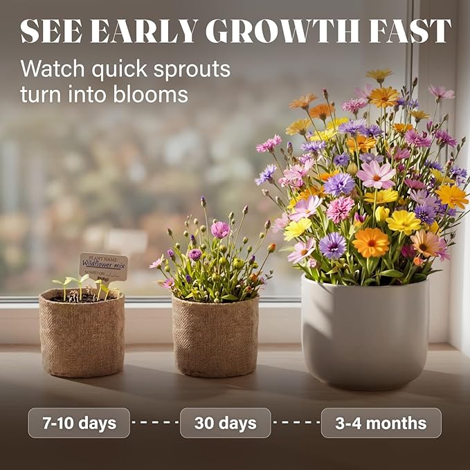 AVERGO Wildflower Seed Mix Growing Kit - Includes Perennial & Annual Wild Flowers, Burlap Planters, Soil, Wooden Box, and Gardening Tools for Indoor Garden and Patio Planting
