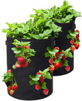 GOTGELIF 10 Gallon Strawberry Grow Bags 2-Pack, Thickened Nonwoven Grow Pots with 8 Pockets & Reinforced Handles for Strawberries, Tomatoes, Peppers, Herbs, Flowers