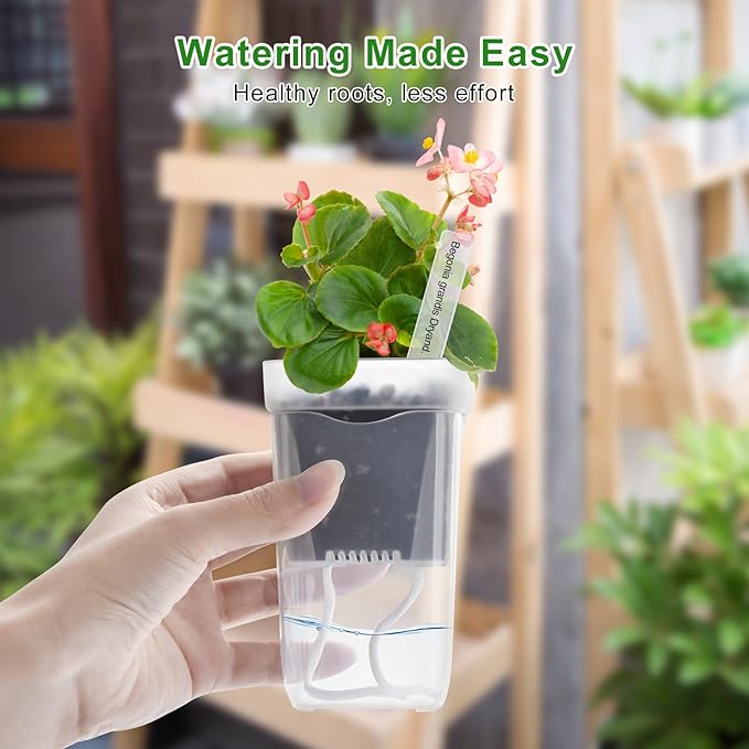 6PCS Mini Self Watering Pots for Indoor Plants, 2.5" Small Clear Planter with Wicks & Water Level Indicator, Plastic Automatic-Watering Pot for African Violet, Succulent, Alocasia, Hoya, Plant Label