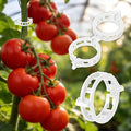 300Pcs Thickened Tomato Clips, Plastic Trellis Clips for Grape Vine, Tomato Vine, Vegetable Plants, Plant Support Clips to Help Plants Grow Upright & Healthier