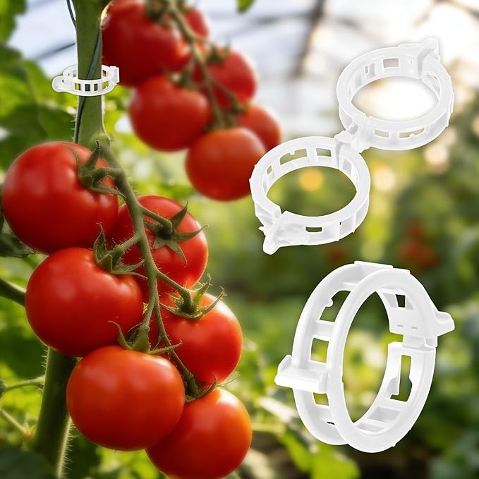 300Pcs Thickened Tomato Clips, Plastic Trellis Clips for Grape Vine, Tomato Vine, Vegetable Plants, Plant Support Clips to Help Plants Grow Upright & Healthier
