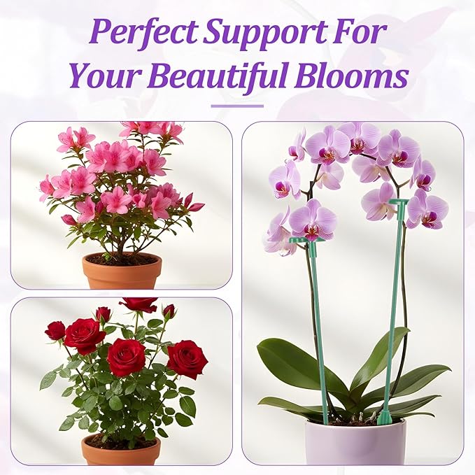 20 Pack Adjustable Plant Support Stakes,Orchid Stakes and Clips,Plant Holder Stick for Garden,Plants Supports for Tomato Rose Outdoor Indoor Plants(with 10 Extenders)