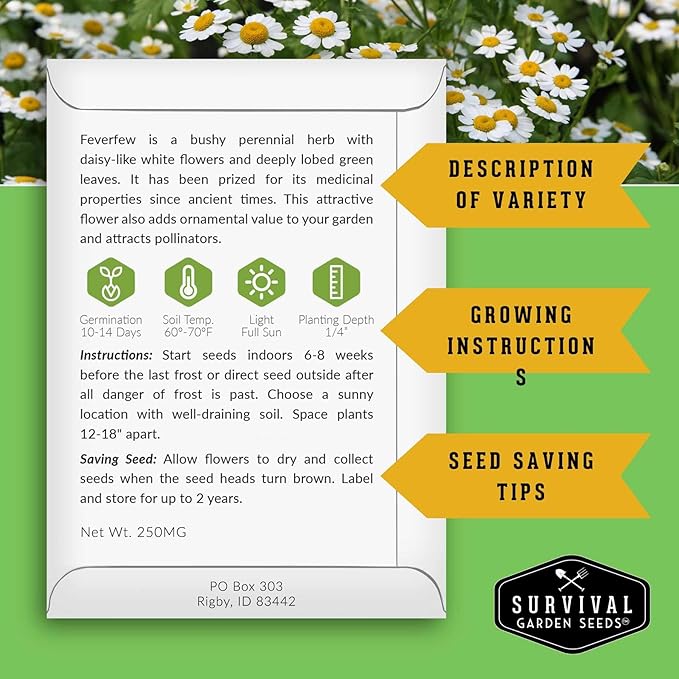 Feverfew Seeds for Planting - Perennial Daisy-Like Flower Herb, Pollinator Friendly Garden, Easy to Grow Traditional Herb - Heirloom Non-GMO Open Pollinated - Survival Garden Seeds (2 Pack)