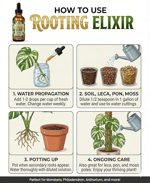 Rooting Elixir Prop Drops – Extra-Strength Liquid Hormone for Cuttings & Plant Propagation – IBA Root Stimulator with Vitamins – Transplant Shock - Houseplants, Monstera, Philodendron, Fiddle, Pothos