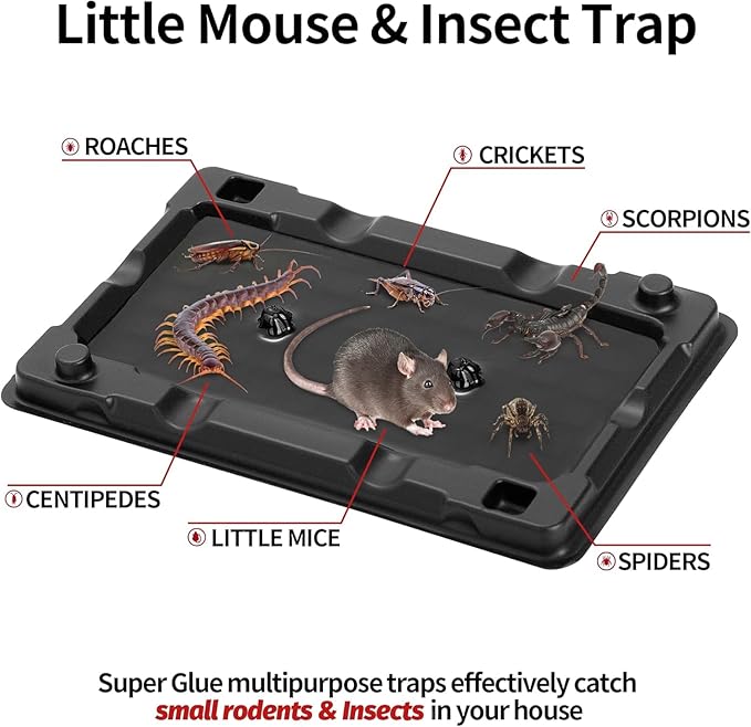 LULUCATCH Mouse & Insect Traps 20 Pack, Heavier Sticky Traps with Non-Toxic Glue for Small Mice & Insects. Sticky Mouse Traps Indoor, Easy to Set, Pet Safe Pest Control