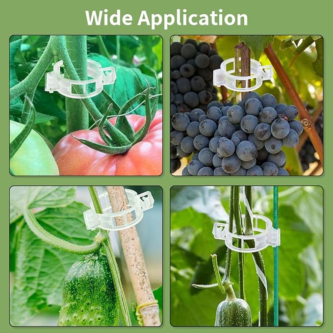 100pcs Plant Support Clips for Climbing Plants, Reusable Plastic Trellis Clips for Tomato, Grape Vine, Vegetables, Garden Fixing Clips (300, Black)