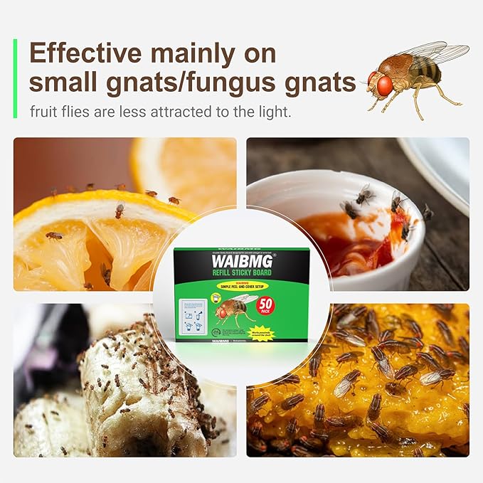 Fruit Fly Trap Covers, Double-Sided Sticky Adhesive Cards for Gnats, Fruit Flies, Moths, Kitchen Insect Control (50 Pcs)