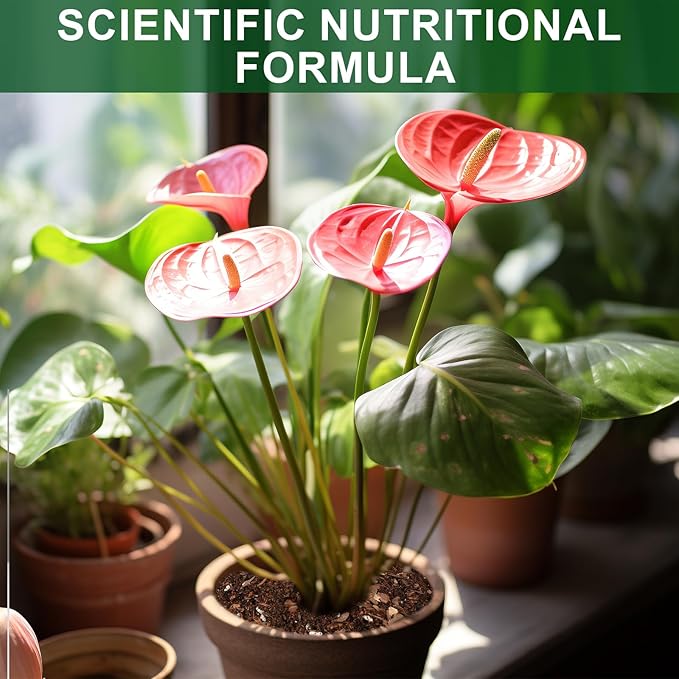 Doter All-Natural Potting Soil for Anthurium & Indoor Plants 2qt - Enhanced Drainage, No Additives | Premium Indoor Plant Soil Mix