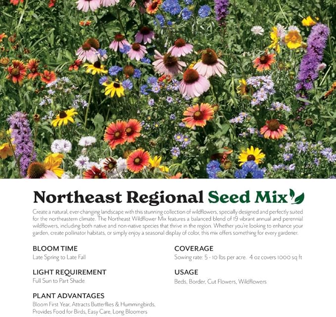 Grow Your Own Vibrant Annual and Perennial Wildflower Garden Seeds Mixture, Varieties for Pollinators and Spring Gardens - Northeast Regional Mix, 10 lbs