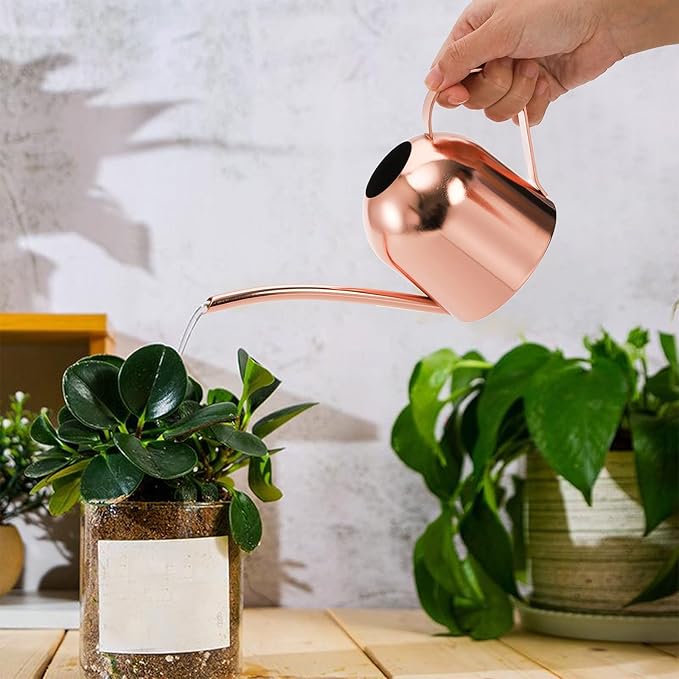 Fasmov Stainless Steel Watering Can, Small Modern Style Watering Pot, 15oz/450ml Plant Watering Can with Long Spout to Prevent Spillage, Perfect for Outdoor and Indoor Plants (Copper)