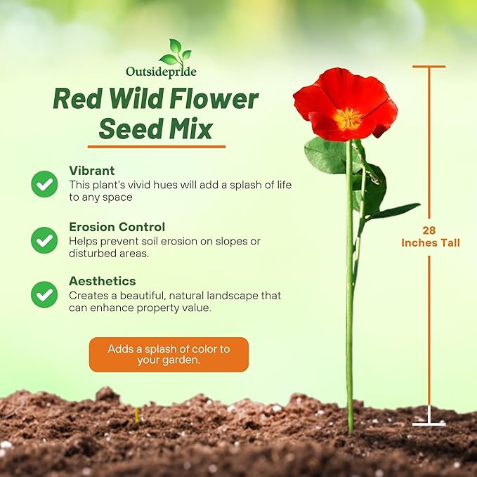 Outsidepride Red Color Shades Mix Wildflower Seeds - 5000 Pcs Annual Easy to Grow, Low Maintenance, Self-Seeding Flower Seeds w/Vibrant Blooms for Pollinator-Friendly Gardens, Containers & Borders
