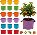 10 Gallon Grow Bags, 18 Pack Colorful Fabric Plant Pots with Handles Nonwoven Potato Grow Bags Plant Growing Containers for Indoor Outdoor Garden Fruit Vegetable Flower