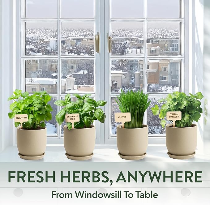 HOME GROWN Indoor Organic Herb Garden Kit, Unique Valentines Day Gift for Adults, Men, & Women,Grow 4 Herb Seeds for Kitchen Window Garden,Beginner DIY Hobby Gardening Gift for Plant Lovers, Mom & Dad