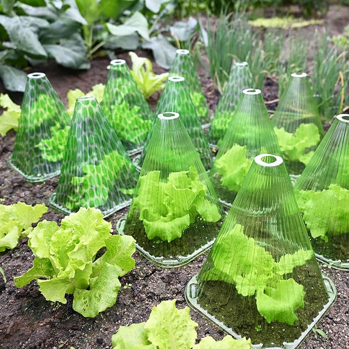 Fshow 40pack Garden Cloches for Plants, Reusable Bell Plant Cover, Plant Covers Protectors from Animals Snails/Birds/Chickens/Insect,D: 9" H X 7.5" D