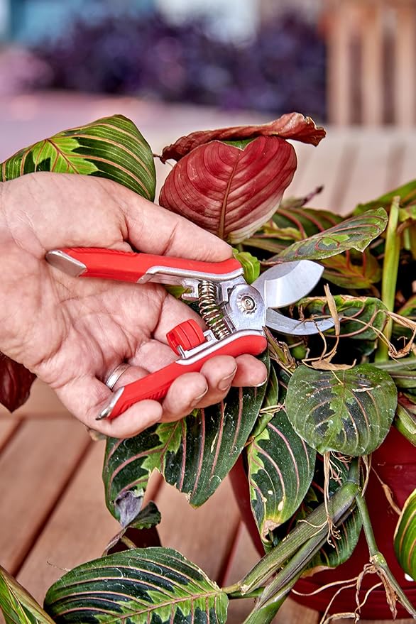 Corona BP 13623 Yard Essentials Houseplant Pruners, Red