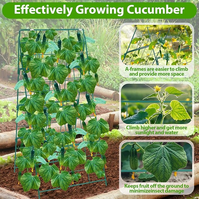 ROADPLUM Cucumber Trellis for Raised Garden Bed, Outdoor Sturdy Metal A-Frame Cucumber Trellis Support for Climbing Plants Vegetables and Fruits with Accessories, Easy installation and Easy Harvesting
