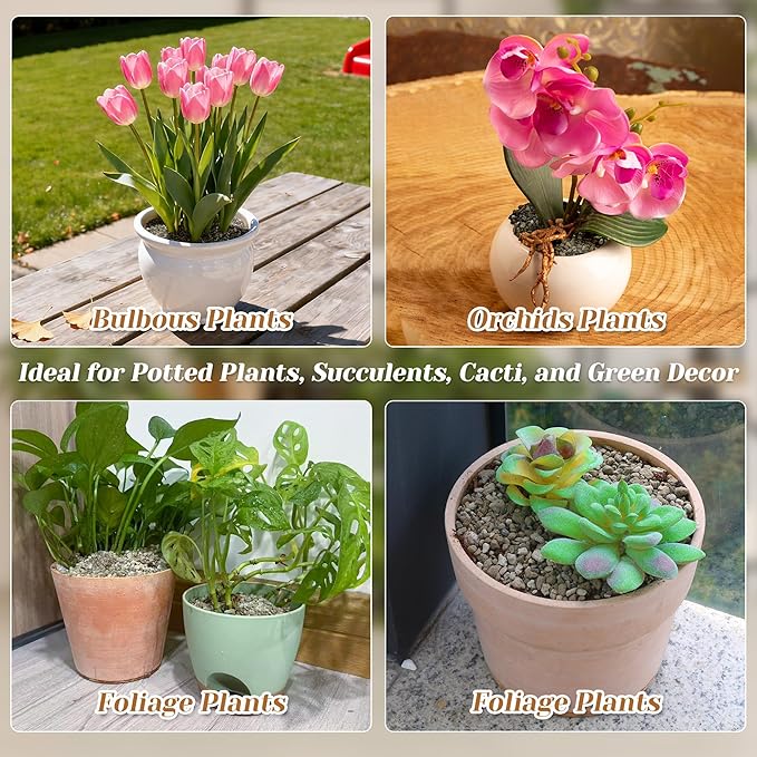 Pumice for Plants, 3 Quarts (1/4 Inch) Horticultural Pumice Stone, Natural Soil Amendment for Succulent Cactus Bonsai for Orchid Potting Mix, Improve Drainage & Aeration