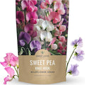 Sweet Pea Knee High - Bulk 2 Ounce Pouch - 600 Flower Seeds for Planting - Lathyrus odoratus