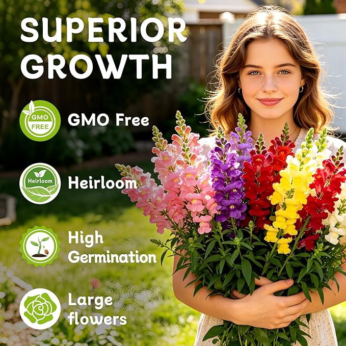 LUOJIBIE Snapdragon Seeds, 50,000+ Tetra Mix Snapdragon Seeds for Planting (Antirrhinum Majus) Fairy Bouquet Blend, Non-GMO Heirloom Annual Flower Garden Seeds Bulk for Outdoor & Indoor