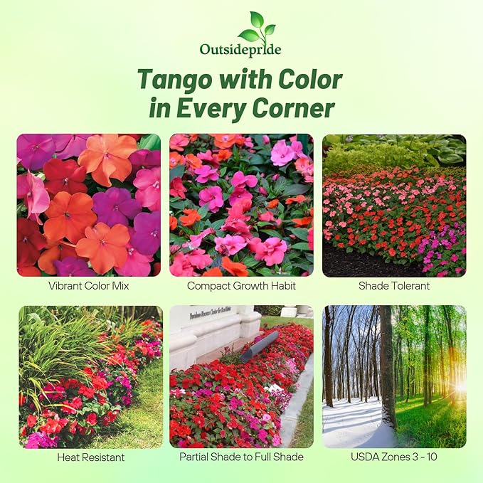 Outsidepride Xtreme Tango Mix Impatiens Flower Seeds - 100 Pcs Annual, Compact & Pollinator Friendly, Impatiens Seeds for Planting w/Vibrant, Abundant Blooms for Shade Gardens & Container Displays