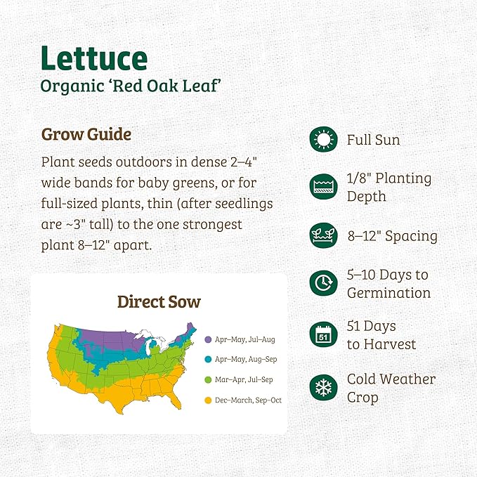 Back to The Roots 100% Organic Seed Packet - Lettuce 'Red Oak Leaf' 420mg