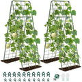 Heavy Duty A-Frame Metal Garden Trellis for Climbing Plants, 50"x17" Inch Tall Plant Support with Clips & Garden Ties for Cucumbers, Squash, Beans & Vines (2)
