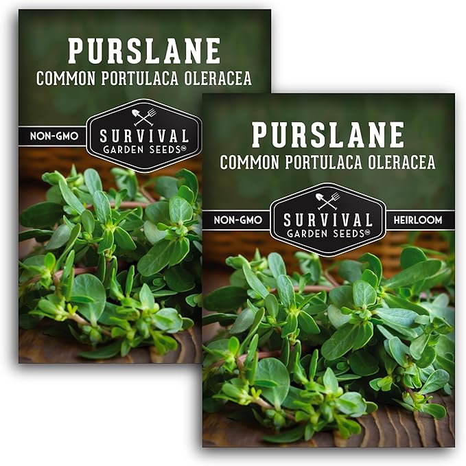 Purslane Seeds for Planting - Edible Green Portulaca Oleracea Verdolagas Heirloom Non-GMO Vegetable Seed for Home Garden - Survival Garden Seeds (2 Packs)